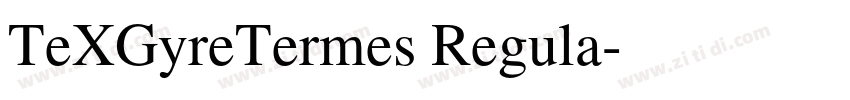 TeXGyreTermes Regula字体转换